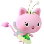 Kitty Fairy