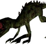 Tropical Juravenator (FMM UV-32)