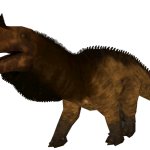 Erythraeus Iguanosaurus