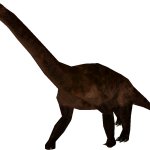 Europasaurus (FMM UV-32)
