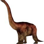 Amphicoelias (FMM UV-32)