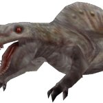 Albino Spinofaarus (FMM UV-32)