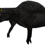 Melanistic Spinofaarus (FMM UV-32)
