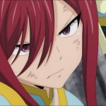 erza fighting