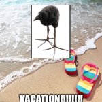 vacation!!!! meme