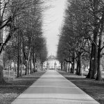 View of Ludwigsburg Palace from Königsallee. Photographed with t