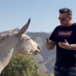 Talking to a donkey