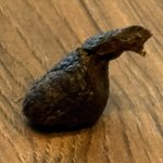 Hershey Kiss shaped dog poop