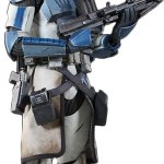 Clone Trooper(Phase 2)(501st)
