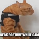 neck posture | MY NECK POSTURE WHILE GAMING | image tagged in gifs,cat,cats,orange cats,orange cat,imgflip | made w/ Imgflip video-to-gif maker