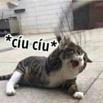 ds