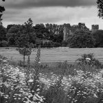 Looking toward Malahide Castle.