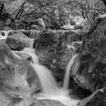0003 | Paklenica National Park  Nikon D3300  ISO-100  f/6.3  1/5