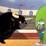 Bull of indiction