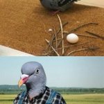 It ain’t much but it’s nest | ME:; EWAN BASTA MERON NILIGAY | image tagged in it ain t much but it s nest | made w/ Imgflip meme maker