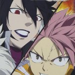 fairy tail dvd