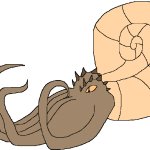 Female Ammonite (Paleoverse + EOIverse)