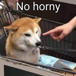 no horny