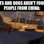 I'm not wrong tho, am i? No offense | CATS AND DOGS AREN'T FOODS!
PEOPLE FROM CHINA: | image tagged in gifs,china,memes,cats,dogs,relatable | made w/ Imgflip video-to-gif maker