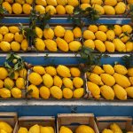 Lemons.