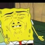 sponbgob