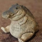 Fat aligator