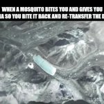 Intelligenks | WHEN A MOSQUITO BITES YOU AND GIVES YOU MALARIA SO YOU BITE IT BACK AND RE-TRANSFER THE DISEASE | image tagged in gifs,funny,memes | made w/ Imgflip video-to-gif maker