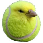 Tennis bird