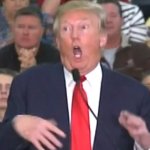 Trump Retard