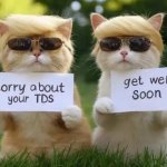 Trump cats
