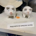pigs with no specific duties