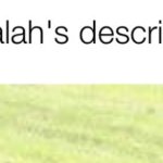 Salah’s