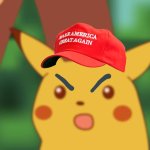 Trump Supporters RN