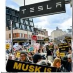 Tesla Vandals meme