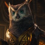 mr owl