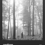 What a Song.