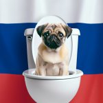pug in toilet, russia flag