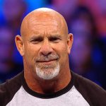 Bill Goldberg profile
