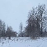 Winter.