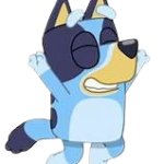 bluey random