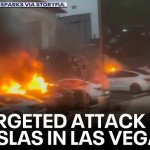 Tesla Riots