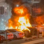 Tesla riots