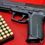 Gun