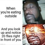 True | When you're eating outside; And you look up and notice 20 flies right in front of you | image tagged in memes,sleeping shaq | made w/ Imgflip meme maker