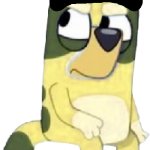 Kevin Nyltick