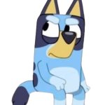Bluey Heeler