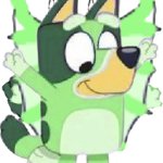 Freddie Schrödinger