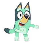 Kkuity Nyltick