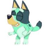 Kkuity Nyltick