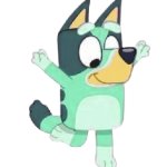 Kkuity Nyltick